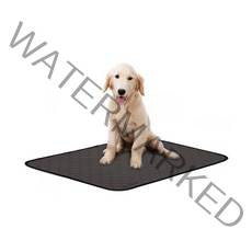 딩동펫 반려동물 빨아쓰는 소변매트, 1개, 1개입