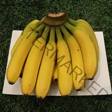 유기농 국산 바나나 경남 산청 당도킹 식감킹, 국내산 바나나 2.5KG