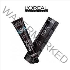 로레알 마지렐 쿨커버 염색약 50g, 10.1잿빛금색