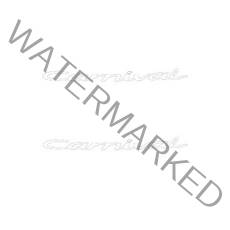 디꼬망드 올뉴 4세대 카니발 레터링 차량용 스티커 KA4 엠블럼 슬로건 눈썹용 200 x 17 cm 2p, 화이트, 1세트