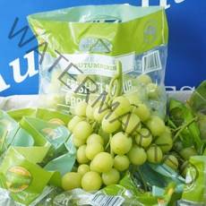 아삭아삭 고당도 애플 청포도 씨없는포도 오톰크리스피, 1kg