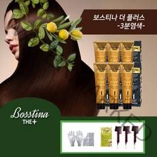 보스티나 염색제 6개 심플구성 (본품6+빗3), 자연갈색, 자연갈색