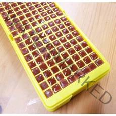 (2세트 무료배송+한중 특허) 117g 가성비짱 가우스브라인 144개 일사사각브라인(특허등록 아스타잔틴브라인쉬림프), 각브라인 1세트만 구입 (급여통 불포함)