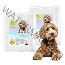 [쿠팡수입] 펫코 강아지 배변 패드 100개입, 2개