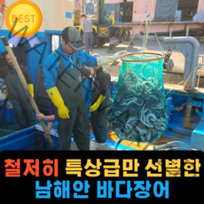 손질 통영 자연산 바다장어 1kg 2kg 3kg 구이용 아나고 붕장어 장어구이 순살 대사이즈 특대 장어 머리 뼈 포함 세트, 1kg(2~4미)