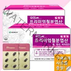 유한메디카 프리미엄 철분 엽산 비타민D 임산부철분제 수유기 청소년 임산부영양제, 120개입, 2개