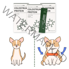 닥터바이 초유단백질 강아지 영양제, 1개, 면역 앤 근력케어