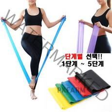 PKFARM 초급자-고급형 선택가능!! 라텍스밴드 탄성 고무밴드 헬스 운동 기초 요가 필라테스, LV2(블루)