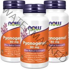 나우푸드 피크노제놀 60mg 베지 캡슐, 50개입, 3개