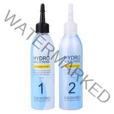 아름다운화장품 아이몬 하이드로 멀티펌 파마약 150g