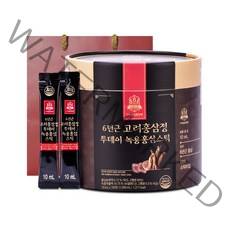 고려홍삼중앙회 6년근 고려홍삼정 투데이 녹용홍삼스틱 + 쇼핑백, 10ml, 100개