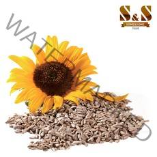 썸앤썸 햇 해바라기씨 1kg, 1개