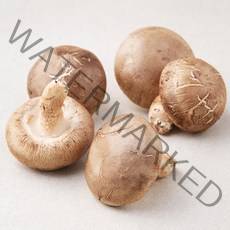 친환경 표고버섯 150g, 1봉