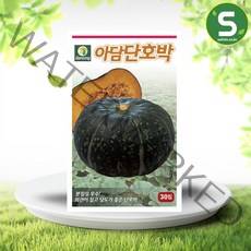 솔림텃밭몰 아담단호박씨앗 30립 아담단호박 단호박씨앗 호박씨, 단품