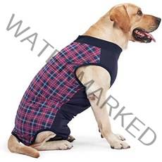 강아지 관절 영양제 관절약 보조제 Recovery Suit for Dogs After Surgery Dog Surgical Male Female Onesie Abdominal Wo, [02] Medium, [02] Navy