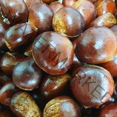 노루골부여알밤2kg, 16.700