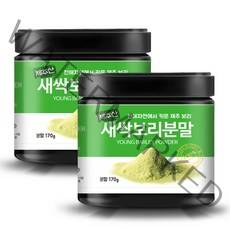 올바른습관 제주 새싹보리 분말, 170g, 2개