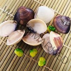 설앤쿡 맛과 향이 뛰어난 조개의 여왕 백합조개 1kg, 백합조개1kg, 1개