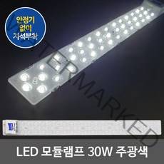 디럭스 KS인증 LED모듈 방등 거실등 형광등 LED전구 LED거실등 LED주방등, 03.LED모듈 220V 직결 30W 주광색