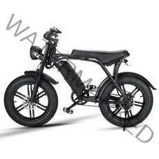 전기자전거 팻바이크 20인치 자토바이 전동 전기팻바이크 전기 750W 1000W 48V, 3 48V 15Ah 750W