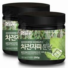 조은약초 차전자피분말, 250g, 2개