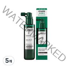 라보에이치 탈모증상완화 노세범 스칼프 토닉, 5개, 80ml