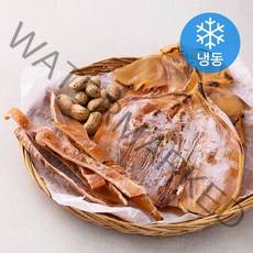 해맑은푸드 조미 마른오징어 몸통 5미 (냉동), 400g(대), 1개