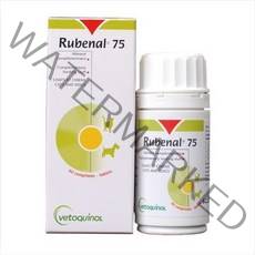 베토퀴놀 루비날75 60정 신장영양제