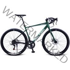그래블 바이크 자전거 롤리 도로 자전거 700c 레이싱 가변 속도 듀얼 디스크 브레이크 오프로드 성인용 알, 03 14 speed green_01 700c