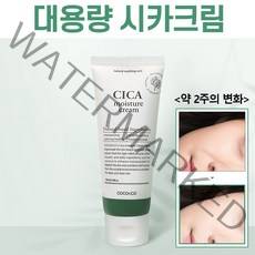 청소년 여드름 연고 화농성 좁쌀 민감피부 스팟케어 재생크림 빠른진정 청소년여드름화장품 제이블릭 시카케어 안면홍조크림 짐승용량 피부착색 색소침착 레이저후 여드름흉터 승무원 재생 크림, 시카케어 100ml x 2개(할인)