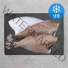 제주 가자미 (냉동), 500g, 1개