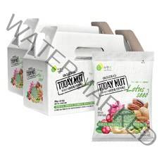 자연루 투데이넛 너트한줌 연자육 견과 선물 세트, 20g, 60개