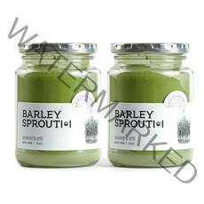 착한습관 보리어린잎 분말, 120g, 2개