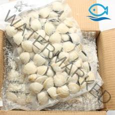 바다해 도매 냉동 백합조개 5KG 진공 백합 탕 파스타 봉골레, 1개