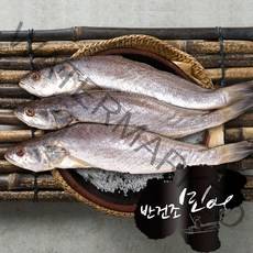 국내산 반건조 민어 특대사이즈 손질완료 천일염으로 밑간, 300g-10미, 1개