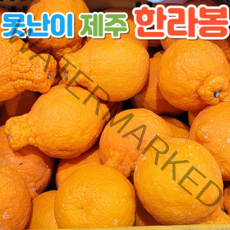 못난이한라봉 한라봉10키로 후숙 제철 제주 한라봉 3kg 5kg 10kg, 못난이한라봉 혼합과 3kg, 1개