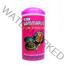 아마존 건조민물새우 감마루스 거북이 사료, 1000ml, 1개