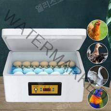 스마트 항온 부화기 소형 가정용 병아리 메추라기 조류 인큐베이터, 15구 단일전기