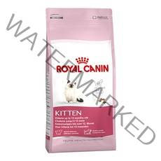 로얄캐닌 키튼 건식사료, 탈수가금육, 10kg, 1개