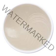 쁘띠페 콜라겐 & coQ10 하이드로겔 에센스 아이패치, 60개입, 1개