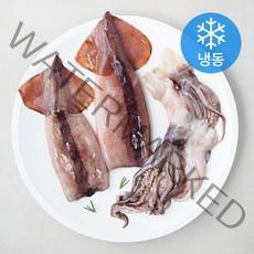 어부네생선가게 국내산 손질 통오징어 (냉동), 300g(2~3미), 1개