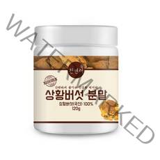 상황버섯 분말 가루 120g