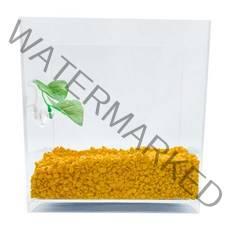 아쿠아테라 뉴탱크 베타어항 + 컬러스톤 500g + 베타침대, 플로워링 옐로우