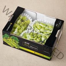 모서랑 농협 GAP 인증 샤인머스켓, 2kg, 1박스