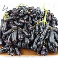 블랙사파이어포도 샤인머스켓제철 영동샤인머스켓, 2kg, 2kg