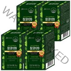 JW 중외제약 징코120 은행잎추출물 비타민E 비타민B6 엽산 아연, 600mg * 30정 4박스, 30정