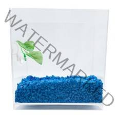 아쿠아테라 뉴탱크 베타어항 + 컬러스톤 500g + 베타침대, 플로워링 블루