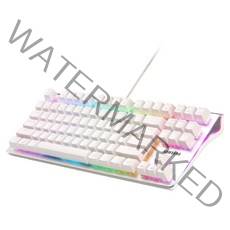 삼성전자 유선 기계식키보드 갈축, 화이트, SPA-NKG2CUWN, 텐키리스