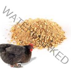 닭사료10kg 토종닭 오골계 청계사료 닭모이 산란사료