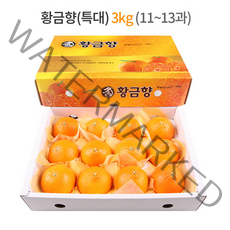 제주 황금향 선물세트 3kg (특대과) 11-13과 / 하우스 노지 고당도 귤 감귤 밀감 레드향 천혜향 카라향 청귤 수라향 신비향 가정용 추석 명절 설 감사 은사 선물 조생 타이벡, 3kg (대) 14-16과